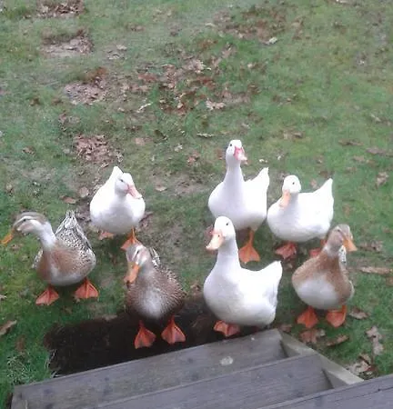 Dans Un Domaine A Campingplatz 4*