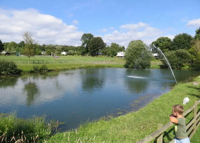 Dans Un Domaine A 4*