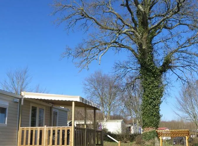 Dans Un Domaine A 4* Litteau